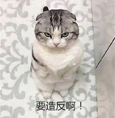 折耳猫发起了一个小鱼干请求,却遭主人拒绝,随后的表情亮了