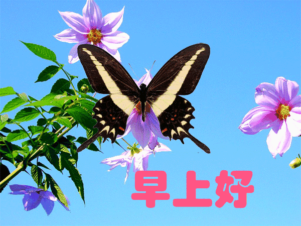晚上好幽默问候语图片