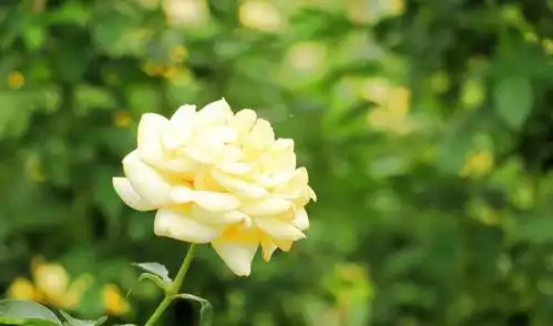 人生太短,明白太晚,73年85年的生肖牛,你看准不准
