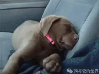你们整天说的累成狗,大概就是这样了吧......
