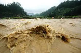 福州人请做好准备今年预计有67个台风登陆或影响福建防汛形势严峻
