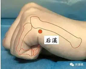 当这些地方疼痛难忍时,揉一揉这些开关,就搞定了
