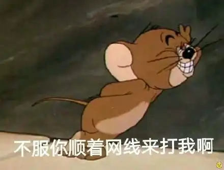 网络上的猫和老鼠表情包
