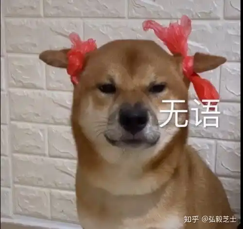 土早已翻篇张嘴吐槽前先看电视看看现在的山东台
