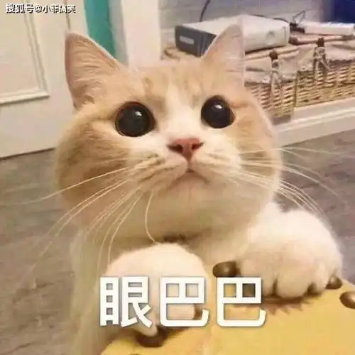 搞笑gif趣图你的身材锻炼的这么好是不是没人娶你了啊
