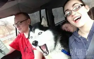 搞笑图片笑话搞笑搞笑图片精选爆笑搞笑图片大全第468页别逗了