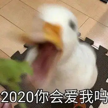 搞笑gif趣图本来想烧个热水,没想到
