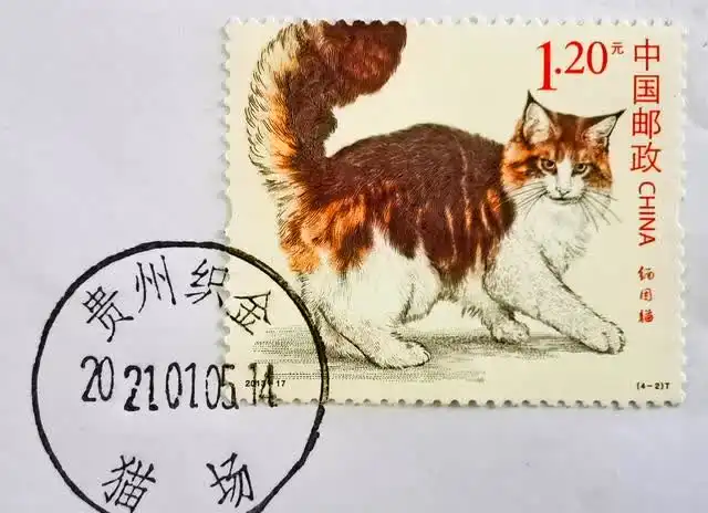 有趣贵州毕节织金县一个镇,名字中带猫字
