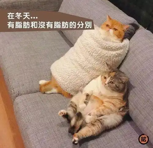 求助,我的脑袋里有一个解不开的结丨爆笑囧图
