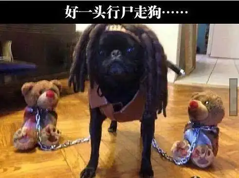 开心一刻同事聚会,美女喝多了,在马路上突然拦下一辆出租车
