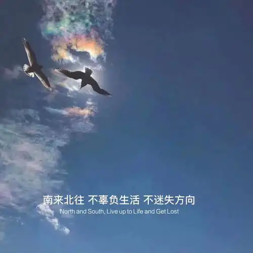世界总会有爱你的人
