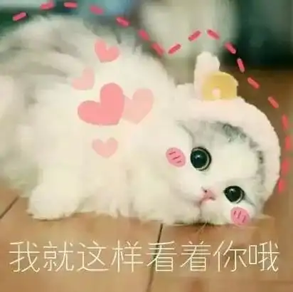 晚会回首2018,我们这样走过
