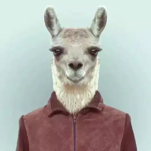 当野生动物穿上人的衣服
