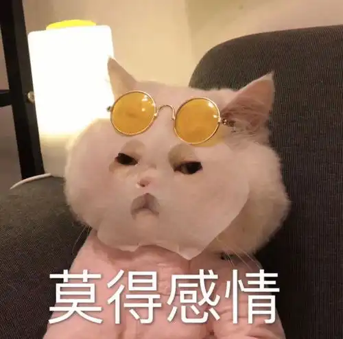 现在上海到重庆还要隔离14天吗
