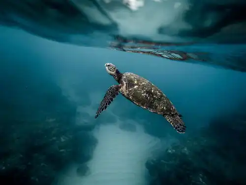 海龟7如何衡量风险
