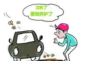 立秋后爱车养生汽车内饰也需杀菌