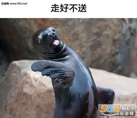 就喜欢你这种没见过世面的动物表情包带字图片我就是这么不羁的boy动物表情图片下载乐游网游戏下载
