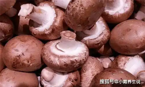 人到中年,常吃4种食物,补充营养,抗衰老,保持肌肤弹性
