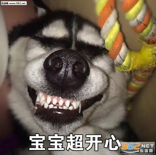 活着不好吗二哈搞笑表情图片那你很棒棒哦哈士奇带字表情包下载乐游网游戏下载
