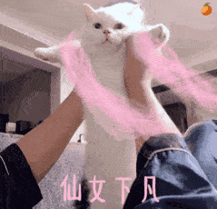 效果堪比磨皮的万金油,真不愧是贵妇们的最爱
