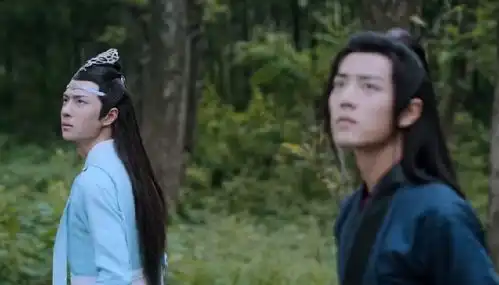 陈情令追杀枭鸟这场戏,细节之处暗含了蓝湛和魏婴之后的命运