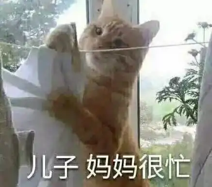 为什么女人双11要买买买这是我见过最真实的答案
