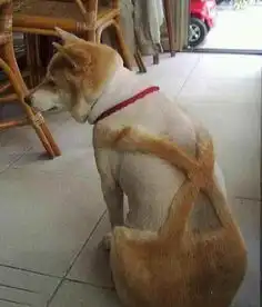 穿成这样就出来逛商场囧图爸爸和妈妈带孩子的区别
