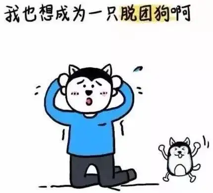 当情人节碰上春节,单身汪怎么过