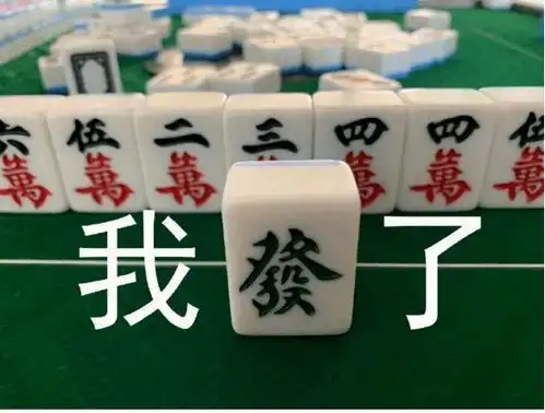 麻将天天搓我,你懂我么
