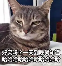 幽默笑话男人就应该要相信自己的实力
