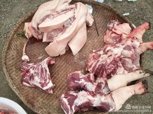 农村杀过年猪的时候,非常的热闹
