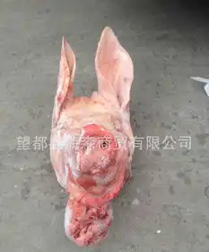 猪头相框报价厂家
