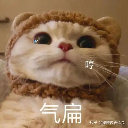 搞笑表情包图片一组莫名其妙表情包图片
