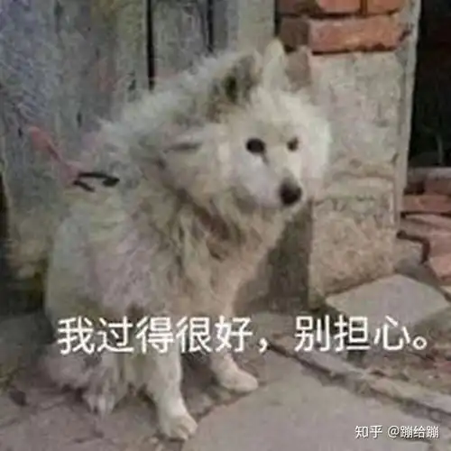 美女电影有哪些
