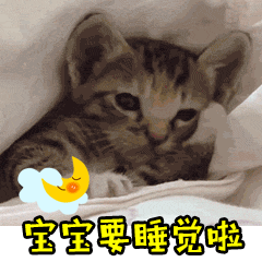 表情包猫咪搞笑可爱的表情
