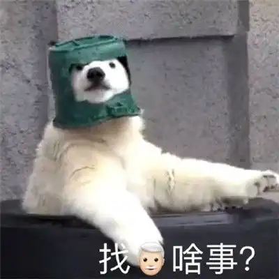 超级有趣的狗子恶搞表情包总感觉头上绿绿的
