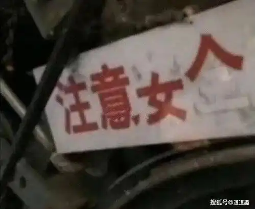 搞笑图片猫猫吃了没文化的亏,不然肯定会换个地方
