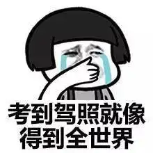 谢娜5次都不过,坡姐挂在半坡上明星驾考也头疼
