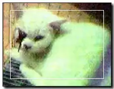 cctv.com
