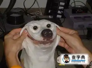 来二汪,笑一个搞笑图片
