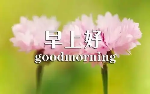 漂亮早上好问候图片鲜花带字新的一天开始早安语心情说说句子
