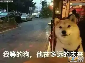 你眼中的单身女孩图片实际上的单身女孩图片熬夜大赛图片下载乐游网游戏下载
