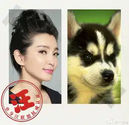 组图李冰冰模仿狗狗表情搞怪笑侃仍是单身汪
