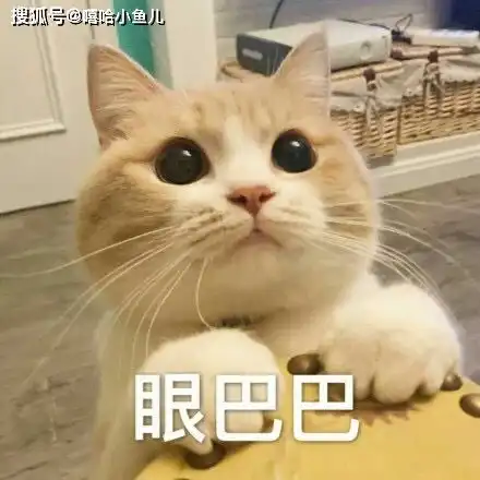 搞笑gif图片这个女孩应该是大多数男孩喜欢的类型,附赠恋爱忠告
