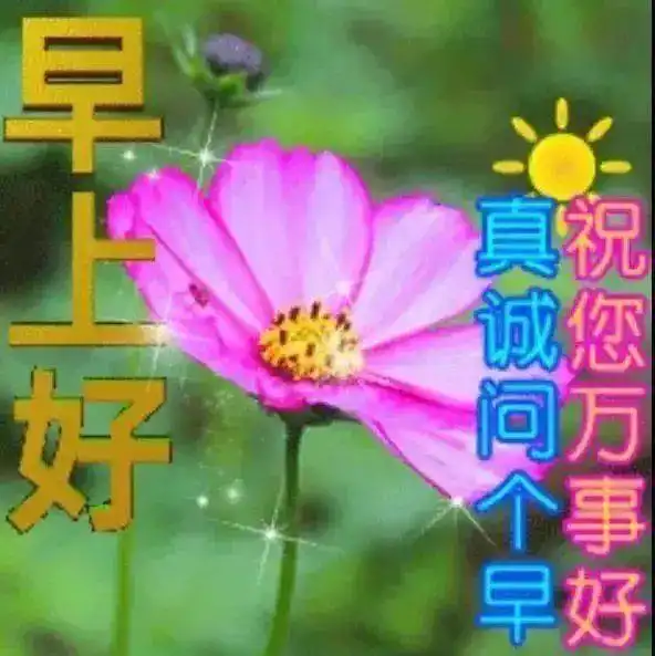 最新版非常漂亮的早上好表情图片温馨早安心语语录

