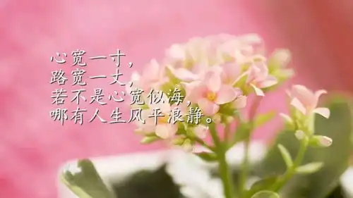 早安励志经典语句,早安激励人心的励志语录
