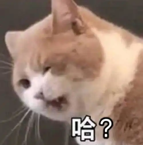 搞笑gif趣图胆子好大,老虎屁股摸不得
