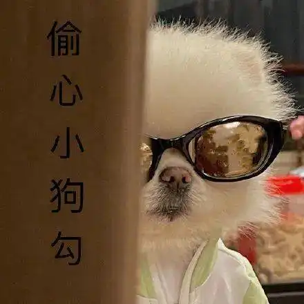 组织部加入我们的快乐星球吧
