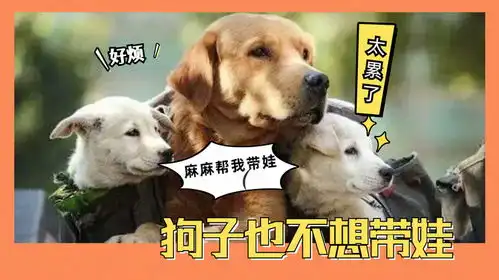 狗子生娃不肯带,铲屎官被迫成月嫂凭什么你生娃我受罪
