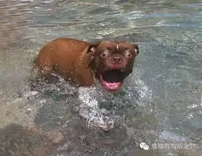 萌宝受惊吓的瞬间
